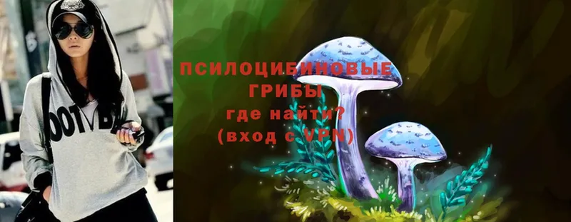 Галлюциногенные грибы Magic Shrooms  Байкальск 